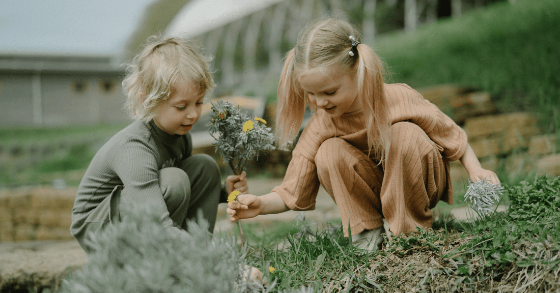 Filtrele de apă și protejarea mediului